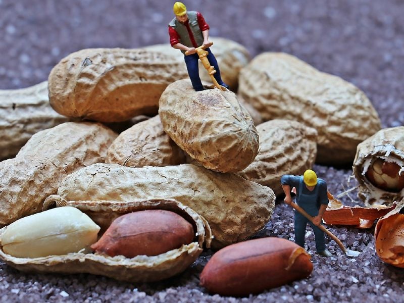 Lakukan 5 Hal Ini Agar Prithil Kacang Jadi Kegiatan yang Menyenangkan Terminal Mojok