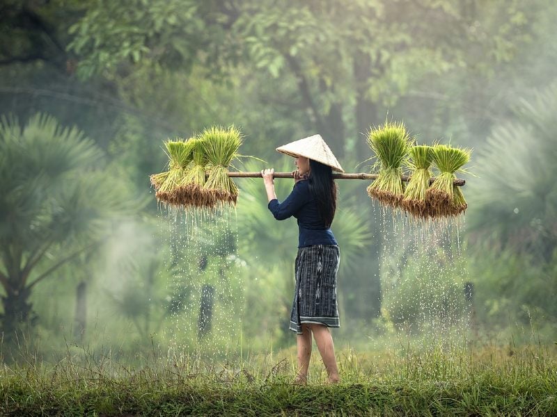 Panduan Menggunakan Panggilan ‘Eneng’, ‘Teteh’, ‘Ceuceu’, dan ‘Nyai’ kepada Perempuan Sunda Terminal Mojok