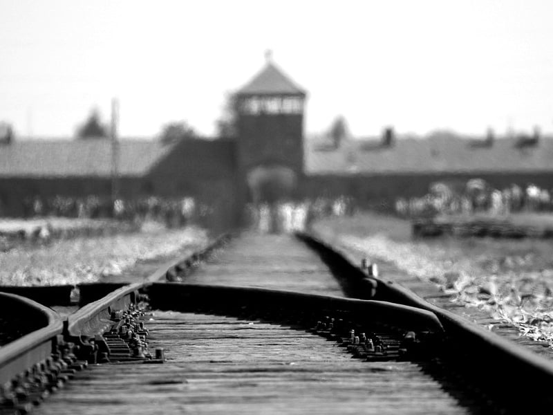 adolf hitler yahudi holocaust israel mojok