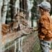 Solo Safari Zoo, Alat Pencitraan Brilian dari Gibran Rakabuming Terminal Mojok