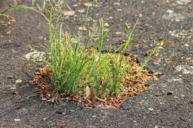Pembangunan UNNES yang Bikin Pusing: Hancurnya Lapangan FISIP karena Beralih Fungsi Jadi Parkiran