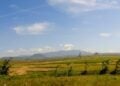Kosakata Bahasa Tegal yang Susah Diterjemahkan ke Bahasa Indonesia