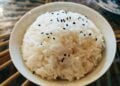 Review Jujur HAN RIVER Rice Cooker Mini setelah 2 Bulan Pemakaian Anak Kos