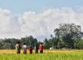 Hidup di Desa Terkadang Tak Lebih Baik ketimbang Hidup di Kota, Bahkan Bisa Jadi Lebih Buruk