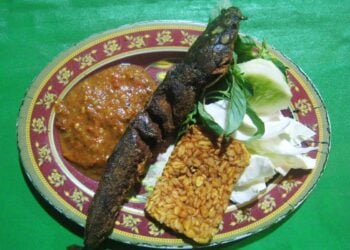 5 Alasan Daun Kemangi Wajib Ada di Setiap Hidangan Pecel Lele
