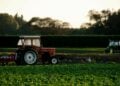 Jurusan Agroteknologi Terbentuk dari Sederet Kesalahapahaman yang Perlu Diluruskan Mojok.co